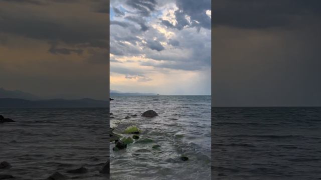 «Жизнь–это драгоценный подарок,и нам нужно ценить его каждый день.»  #природа#жизньуморя #живисейча