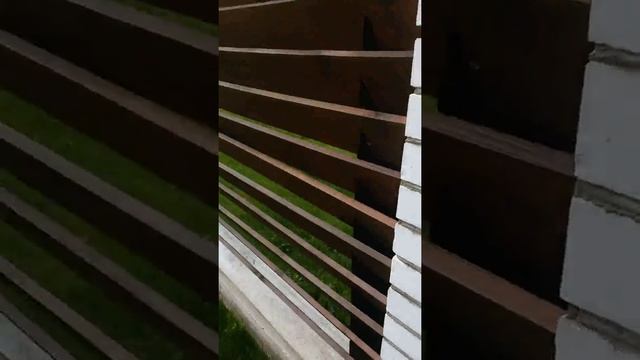 Забор-жалюзи на ленточном фундаменте смотреть онлайн