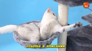 Домик для кошки/домик для кошки с когтеточкой/ярусные домики для кошек/как сделать домик для кошки