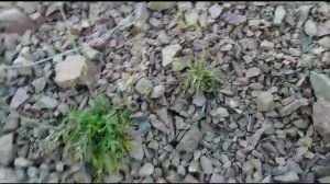 Подробный анализ горной породы в горах.