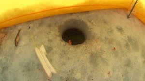 Зимняя РЫБАЛКА. Ловля ЛЕЩА зимой в палатке. ПОКЛЕВКИ водохранилище FISHING.