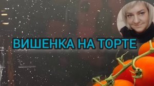 ТЕПЕРЬ ЕЕ ОТ ЗЛОСТИ ПОРВЁТ. ПИРАТСКАЯ ЖИЗНЬ. ТАТЬЯНА КРАСНИК. ДОМАШНЯЯ НЕЗАБУДКА. ОБЗОР.