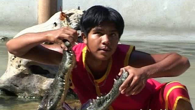 Страшное крокодил-шоу (нервным не смотреть) Тайланд смотреть онлайн