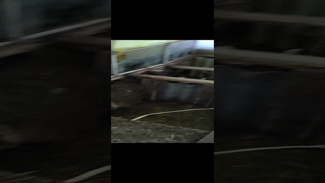 как я кормлю кроликов