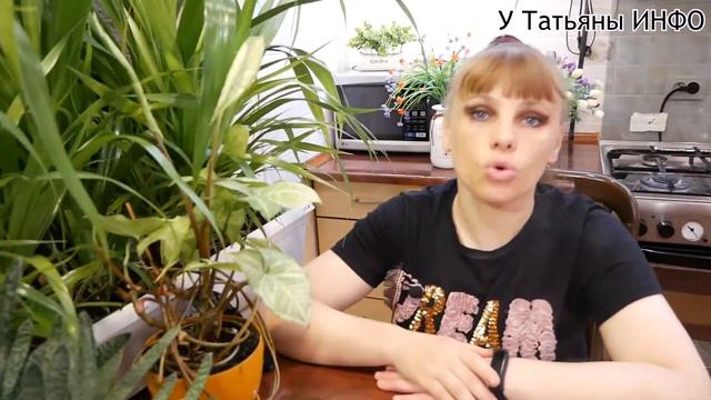 ЛУКОВАЯ ШЕЛУХА: удивительные свойства для комнатных растений! смотреть онлайн