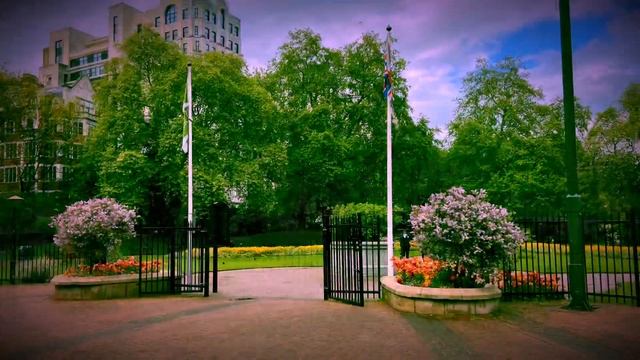 Pictures for you… смотреть онлайн