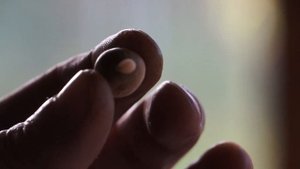 Червяк вылезает из лесного ореха /The worm comes out of the hazelnut