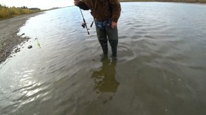 Ловля щуки на Оби в начале третьей декады сентября 2022