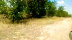 Обзор Питбайка Кайо-125. Kayo-125. Выхлоп бомба??