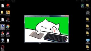 Бешеный кот бьет по клавиатуре и по кнопке бан