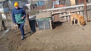 Жизнь простых людей  .Погода супер, обновили фартук