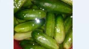 Огурцы с корнем хрена и горчицей- лучший рецепт