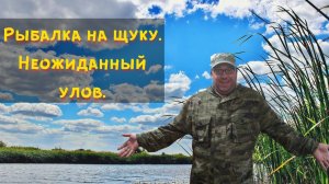 Рыбалка на щуку. Неожиданный улов. Рыбалка в теплый и солнечный день.