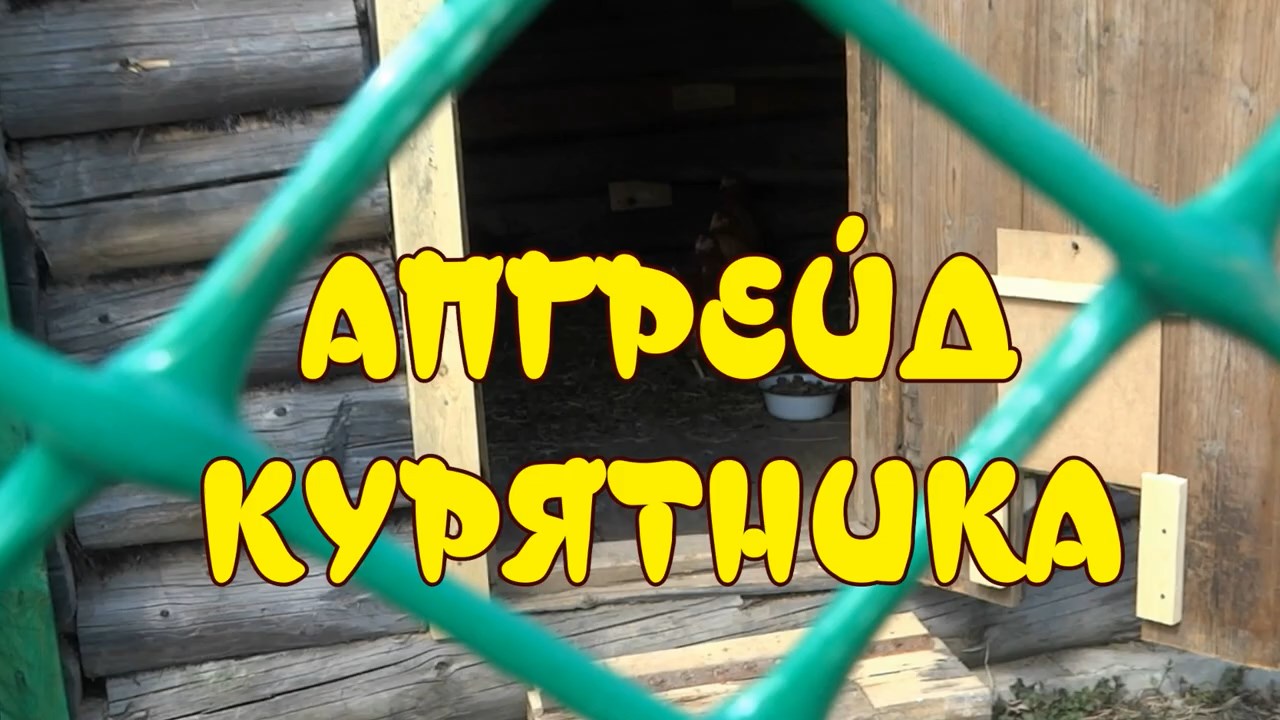 АПГРЕЙД КУРЯТНИКА КУРЯТНИК СВОИМИ РУКАМИ смотреть онлайн