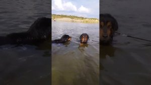 Хотошо на воде.