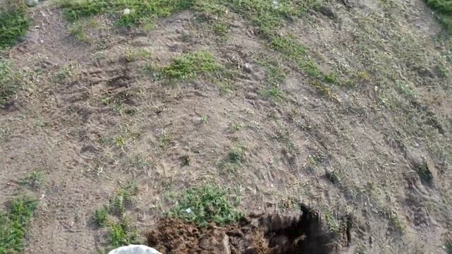 Выезд в старинную деревню. смотреть онлайн