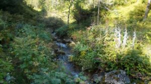 горный ручей