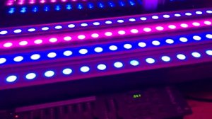 PL Linea 24 IP65 (Proton lighting) + CHAUVET Obey 10