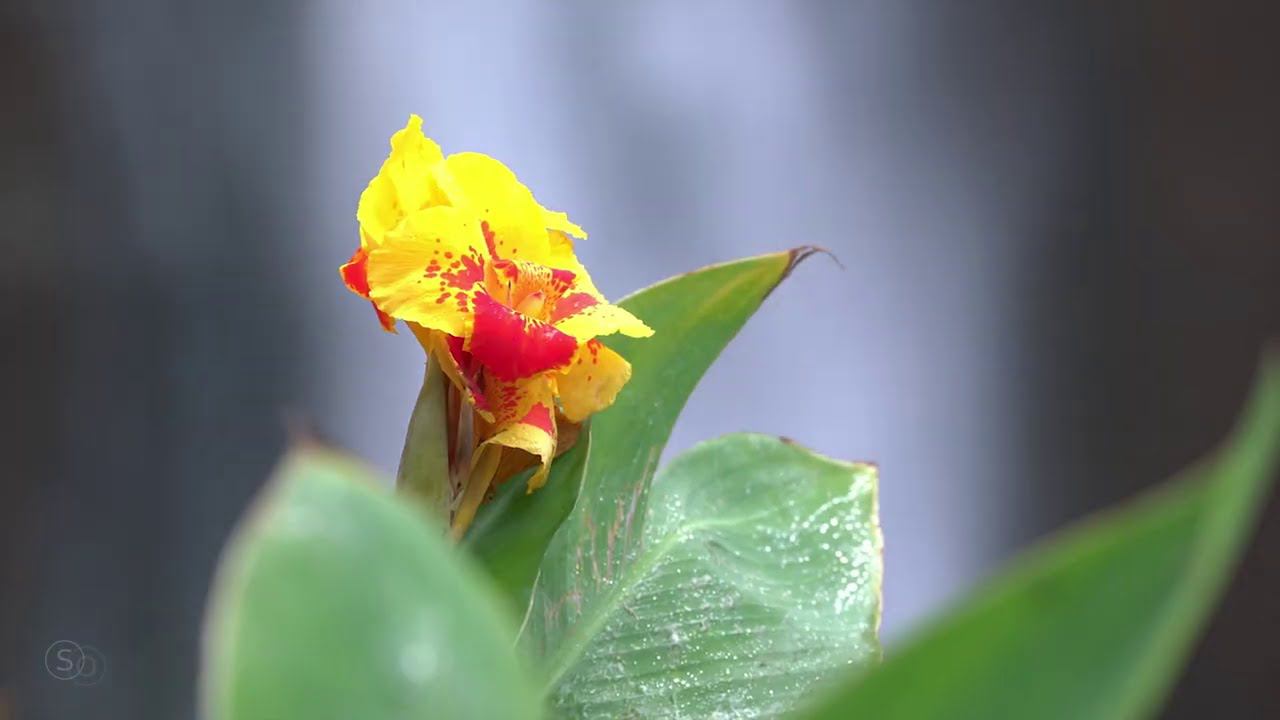 ♪ Bryulik - Love In Your Name смотреть онлайн