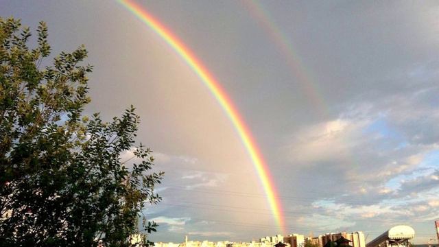 Борьба за выживание человечества