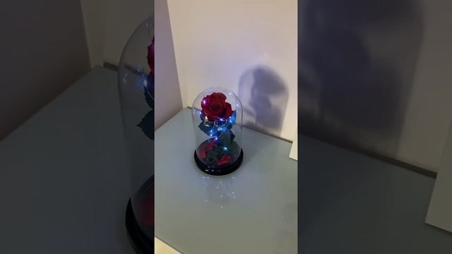 Роза в колбе с подсветкой смотреть онлайн
