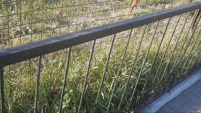 Львы в районе колеса обозрения, Каюшка опять временно подженился. смотреть онлайн