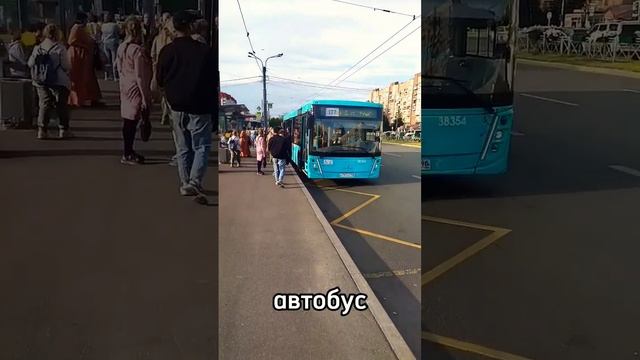 Топ 5 видов транспорта СПб    #автобус #метро #трамвай #троллейбус #электричка