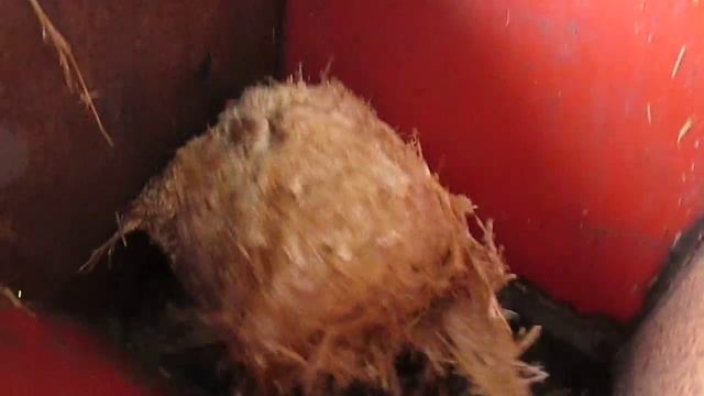 Шнек смотреть онлайн