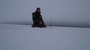 Флаги встают друг за другом!! Когда подсекать Щуку?! Зимняя рыбалка.