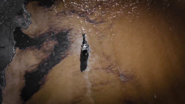 Воин на коне смотреть онлайн