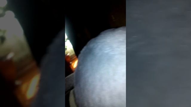 Дурак простофиля У Лукоморья дуб срубили кота на мясо порубили