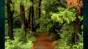 "Субтропики", Окружающий мир 4 класс ч.2, с.35-36, Школа XXI век.