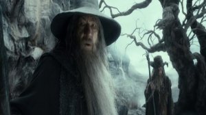 Gandalf (Ian McKellen)