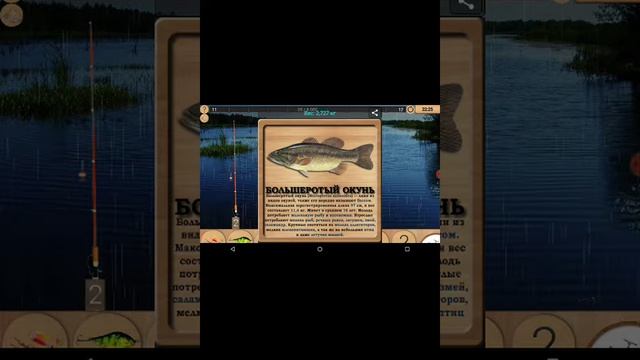 Больширотый окунь в игре реальная рыбалка смотреть онлайн