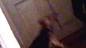 Собака ест ребенка! ЖЕСТЬ!!!!!!!!!!!11