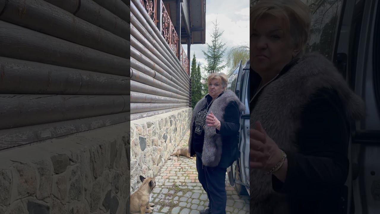 ПОРОДЫ СОБАК   КОМПАНЬОНОВ   КОМУ НУЖНА ГРЕЛКА ДЛЯ ДУШИ  ФРАНЦУЗСКИЙ БУЛЬДОГ #shorts