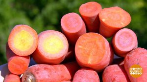 Морковь волнует кровь. Доброе утро. Фрагмент выпуска от 26.08.2020