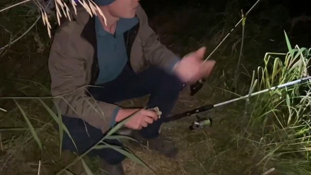 Каждый обязан отпускать таких сомиков смотреть онлайн