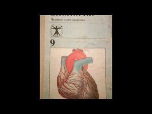 #19 Лейкоциты. Иммунитет. Биология. А. М. Цузмер, О. Л. Петришина