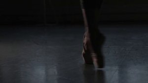 Академия русского балета имени А. Я. Вагановой