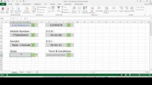 DATA ENTRY Software in Excel || with error proof ||Fully Automatic Data Entry Software in excel |