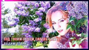 Вадим Ягала - Под твоим окном сирень цветёт