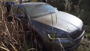 шкода на бездорожье 4x4 vs Audi A4 Quattro.ШКОДА на Оффроуд??