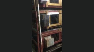 Кролики, новые удобные клетки, разведение, содержание