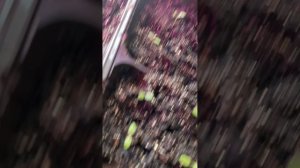 Протекла крыша, затопило рассаду цветов