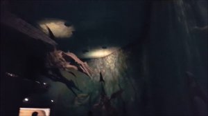 Крупнейший Музей Динозавров в Мире - Королевский Музей Палеонтологии в г. Драмхеллер (Канада)