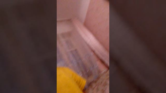 Кто Короче говоря мой дом смотреть онлайн