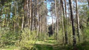 #родыв40лет Рожать или не рожать в 40 лет?