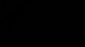 Как нарисовать енота обычным карандашом