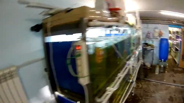 Борьба с влажностью на разводне Начало Завидую тем, кто покупает увлажнители смотреть онлайн